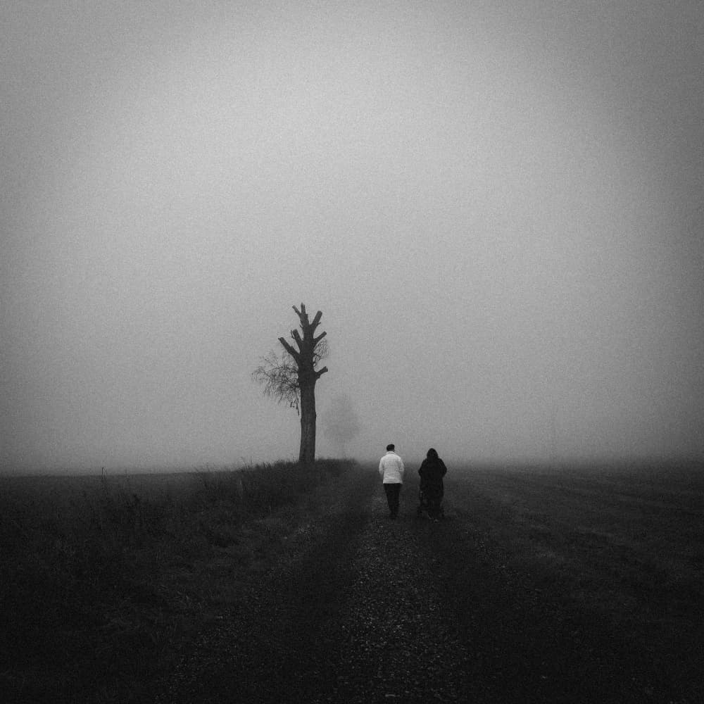Misty Path Walkers by Renate Wasinger — canvas wall art