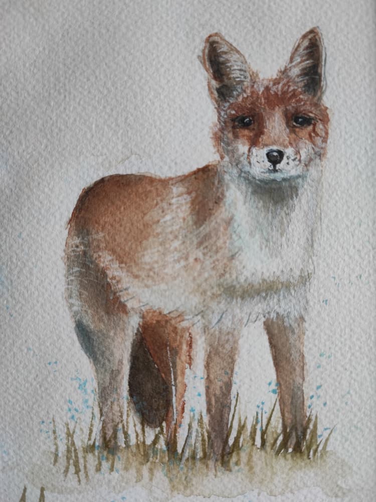 Curious Red Fox by Annette Armitage — canvas wall art