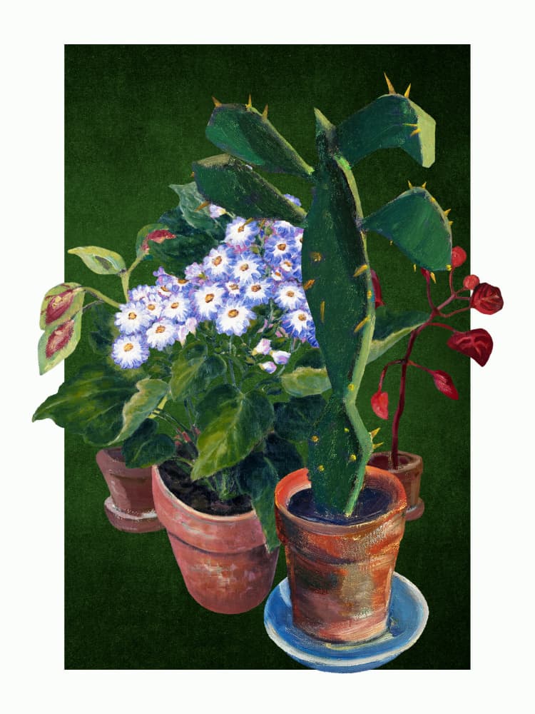 Potted Cactus Flowers by Marja van den Hurk — canvas wall art