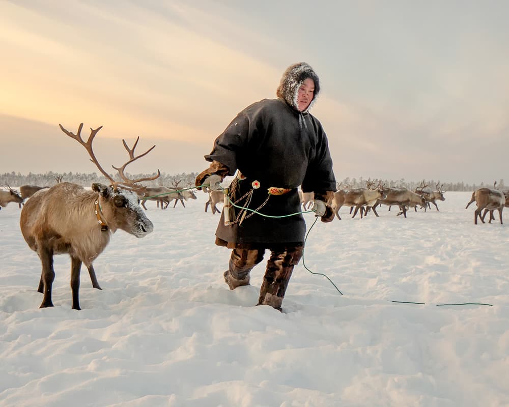 Reindeer Herder in Winter Snow by Marcel Rebro — canvas wall art