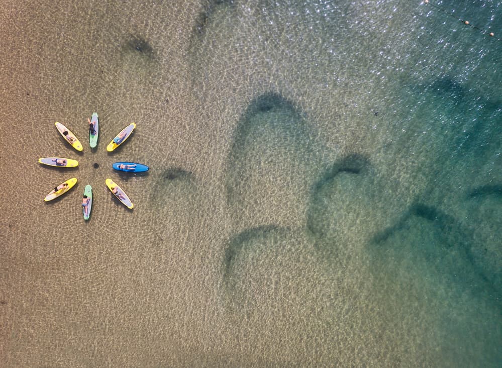 Summer Paddleboard Circle by Ido Meirovich — canvas wall art