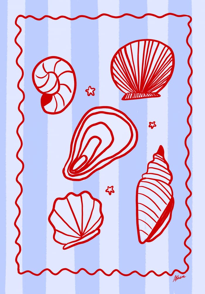 Red Seashells by Athene Fritsch — canvas wall art
