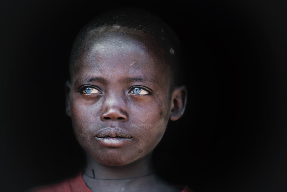 Captivating Blue Gaze by Trevor Cole — canvas wall art