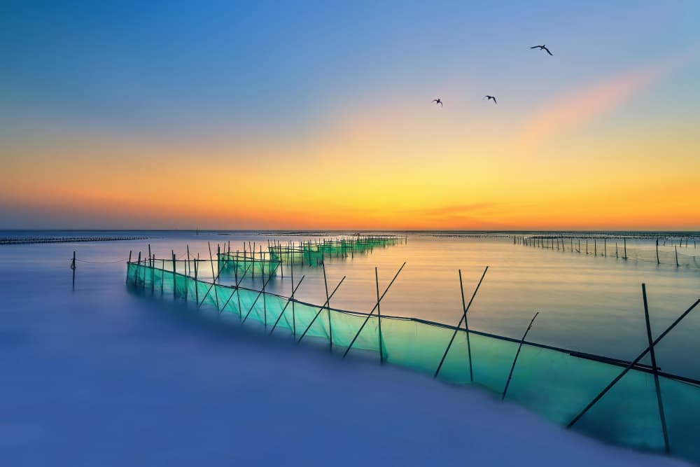 Serene Ocean Sunset by MingLun Tsai (蔡明倫) — canvas wall art