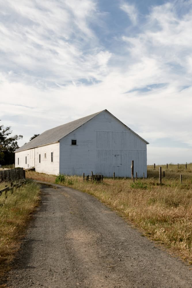 White Barn Road by Crystal Lynn Collins — canvas wall art
