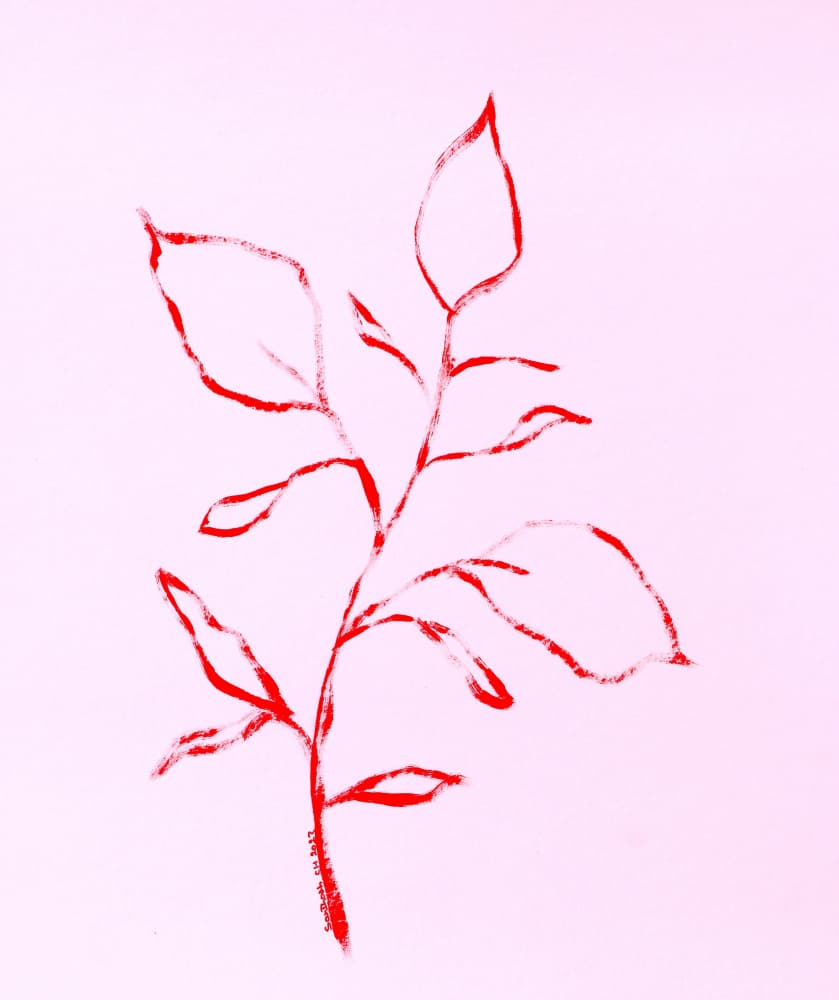 Blushing Red Botanical by Santhosh ch — canvas wall art
