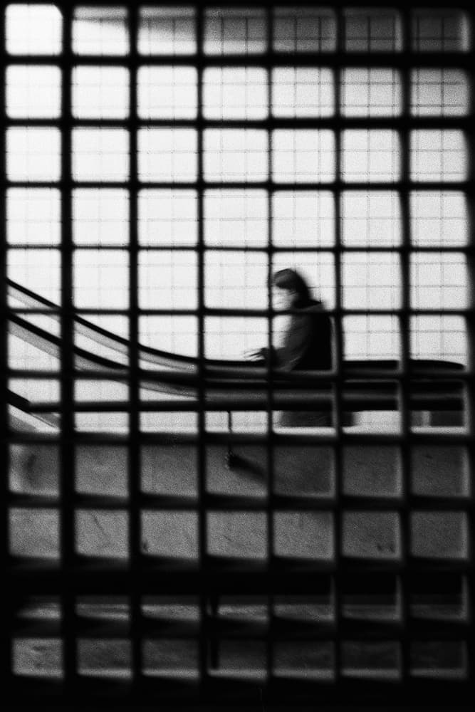 Solitary Grid View by Paulo Abrantes — canvas wall art