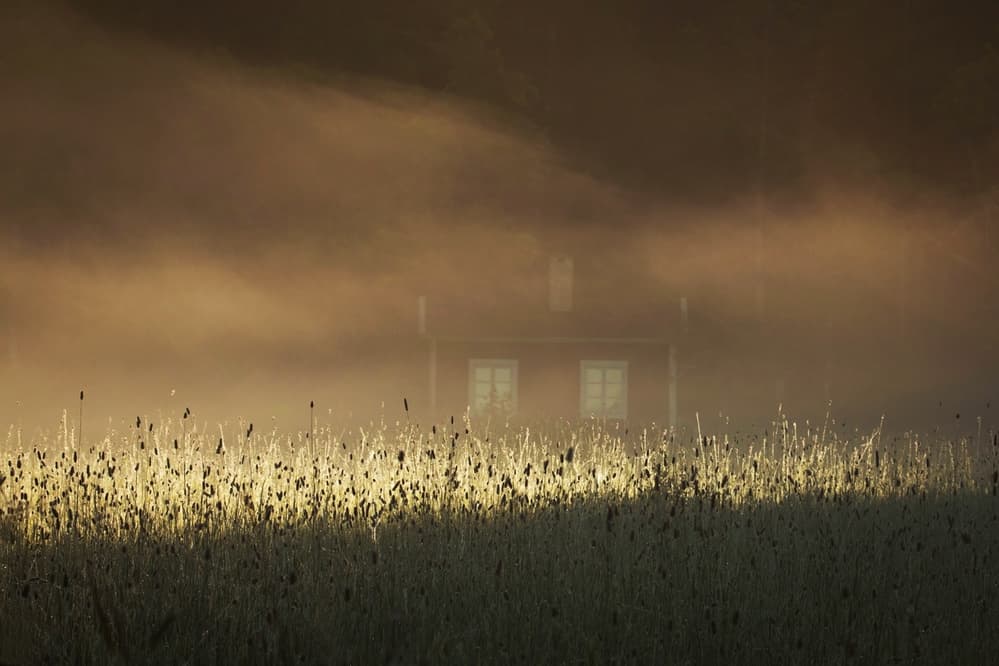 Misty Golden House by Allan Wallberg — canvas wall art