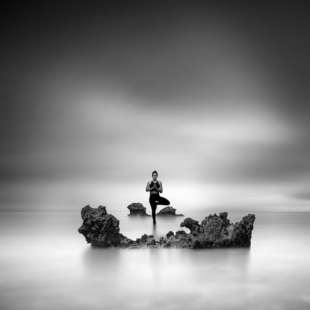 Tranquil Tree Pose by George Digalakis — canvas wall art
