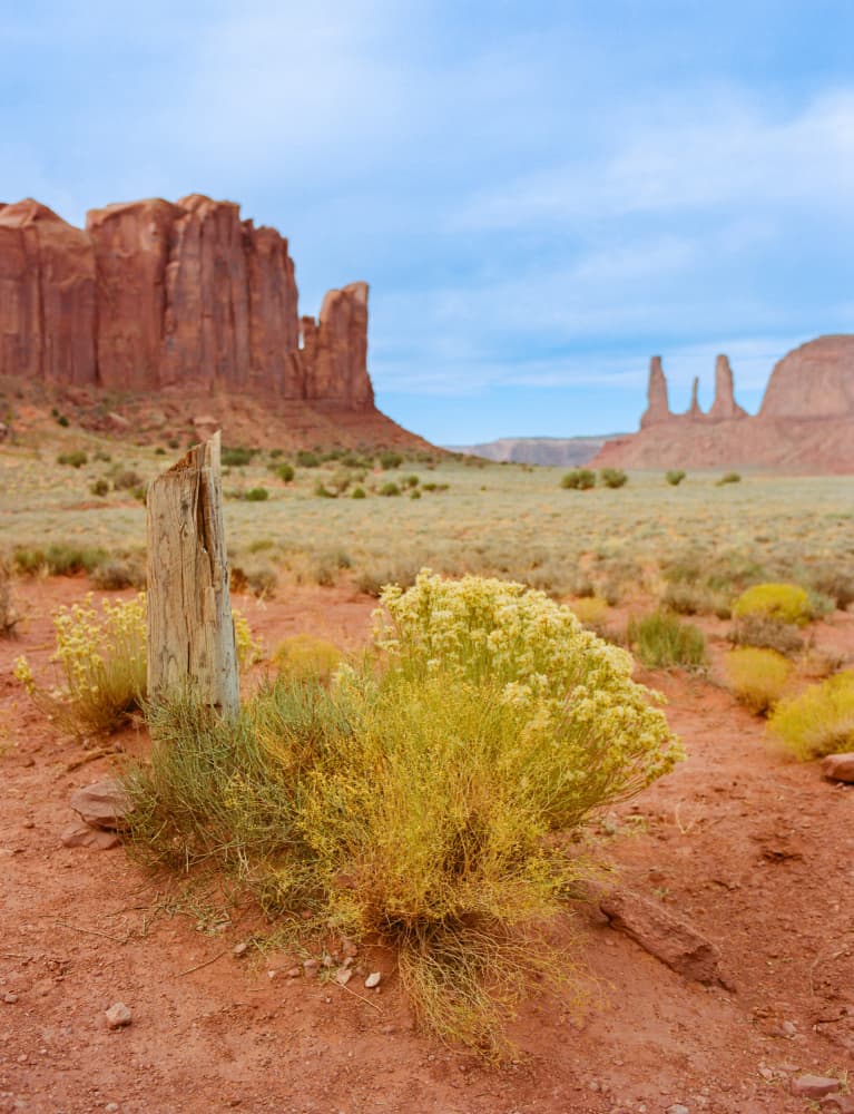 Red Rock Valley Vista by Bethany Young — canvas wall art