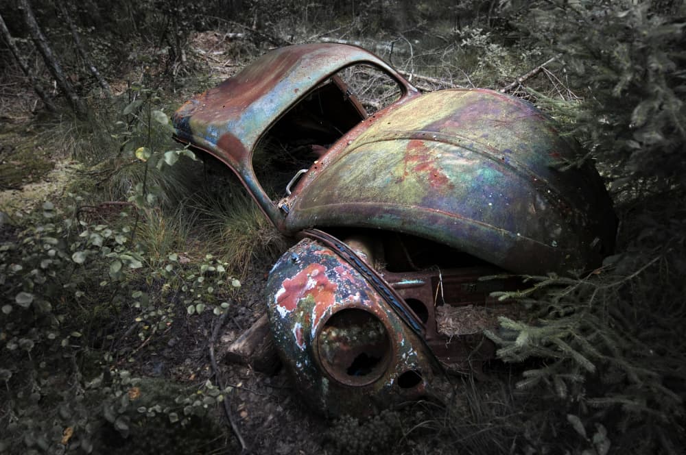 Rusty Car Forest Decay by fotomarion — canvas wall art