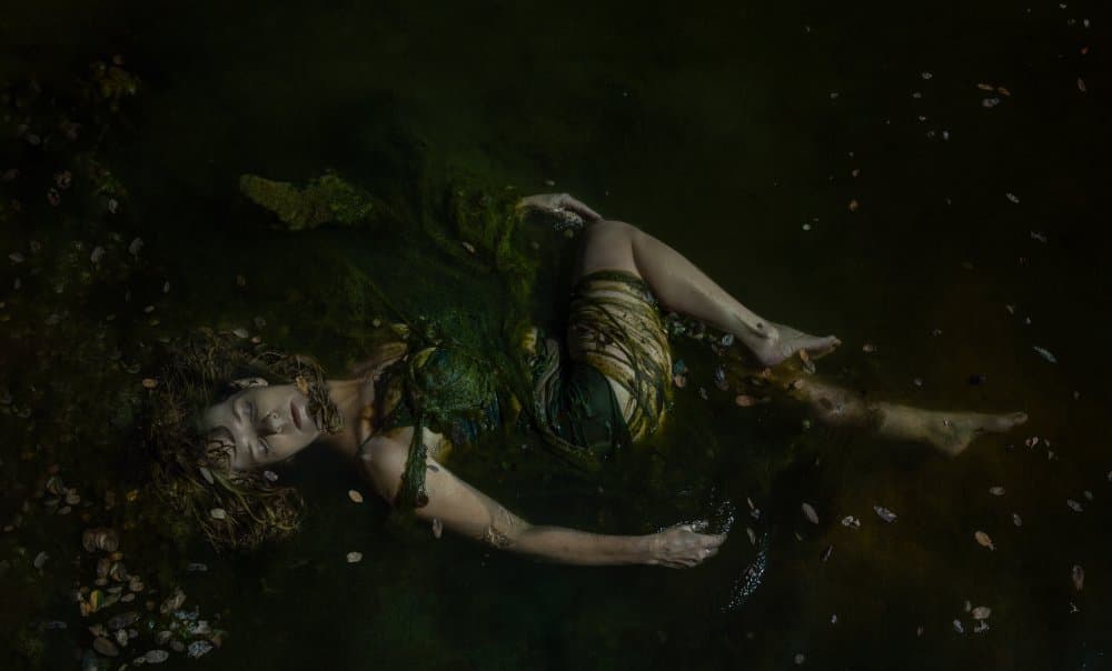 Submerged in Serenity by Charlaine Gerber — canvas wall art