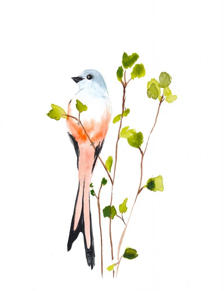 Watercolor Bird Branch by Christine Lindstrom — canvas wall art