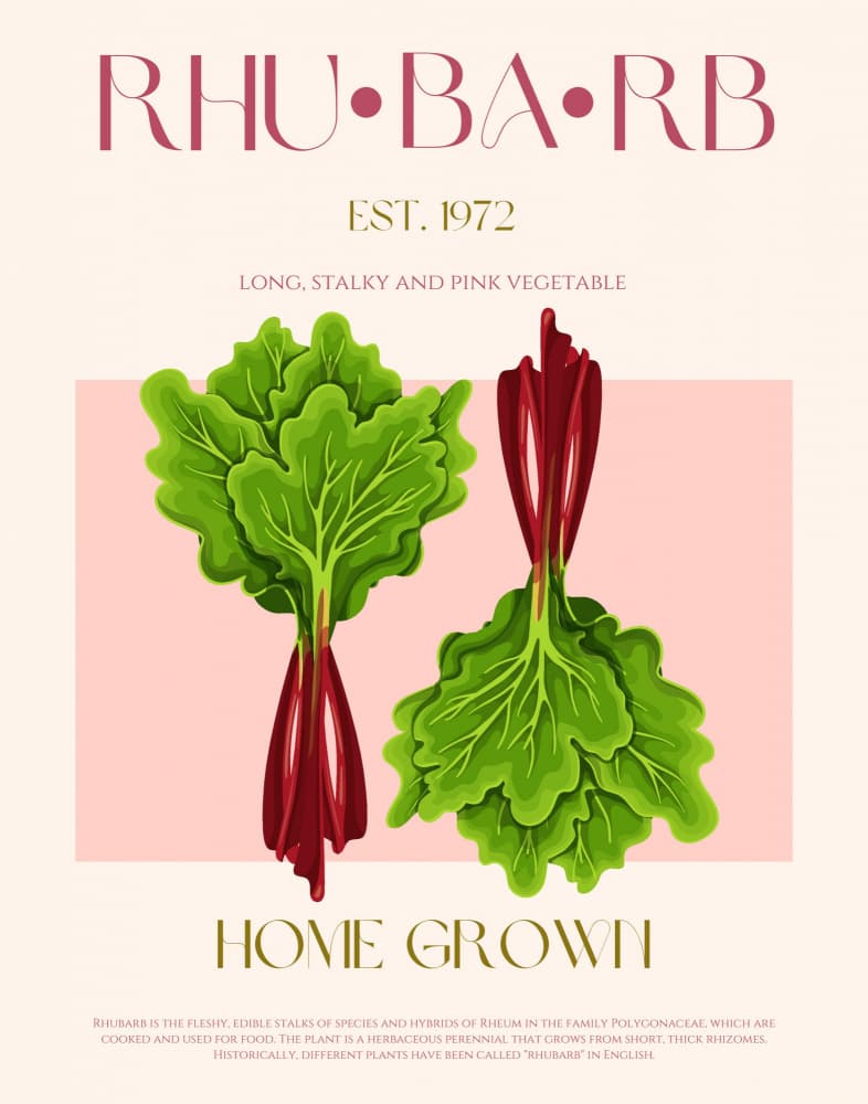 Rhubarb Home Grown by Nazma Khokhar — canvas wall art