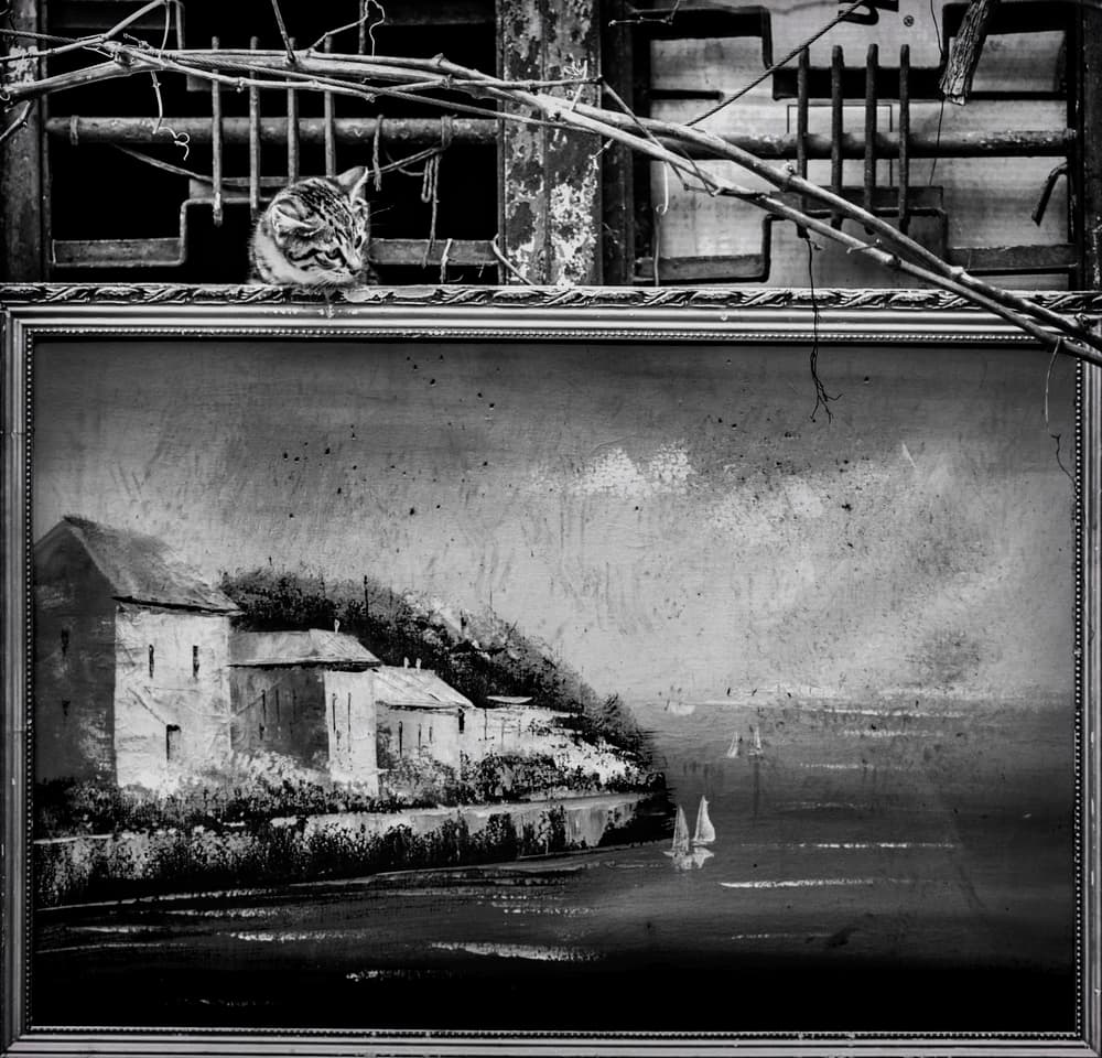 Cat Above Rustic Painting by Ömer Ates Kızıltug — canvas wall art