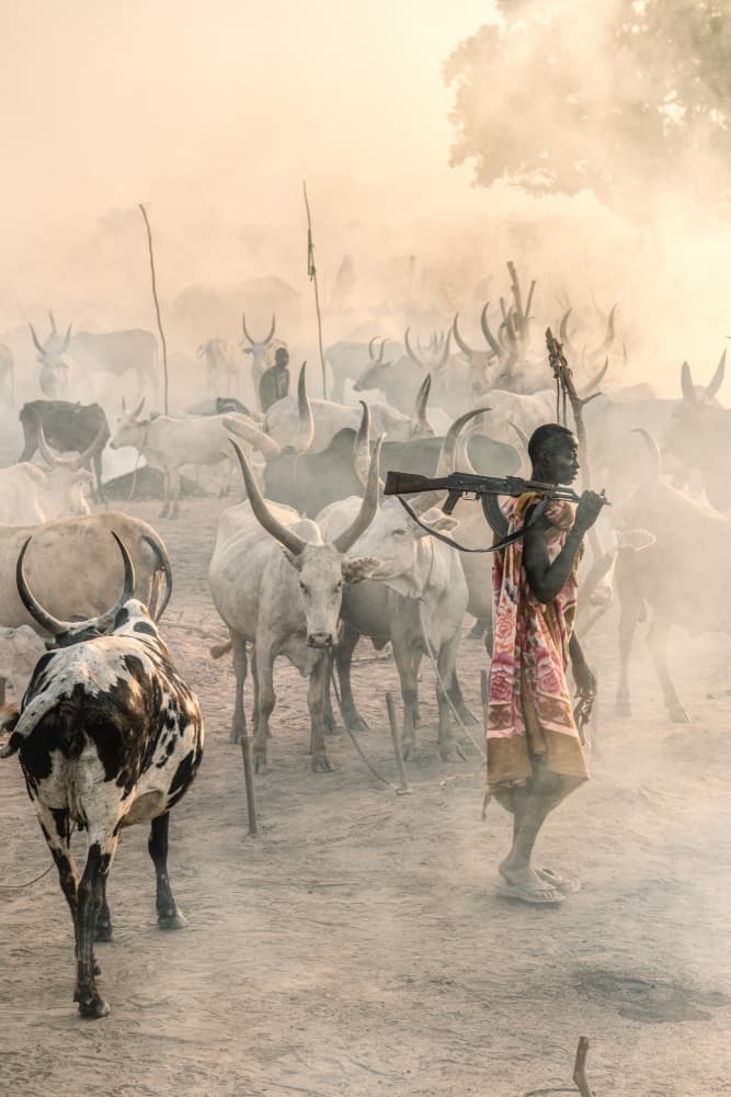 African Warrior and Cattle Herd by Trevor Cole — canvas wall art