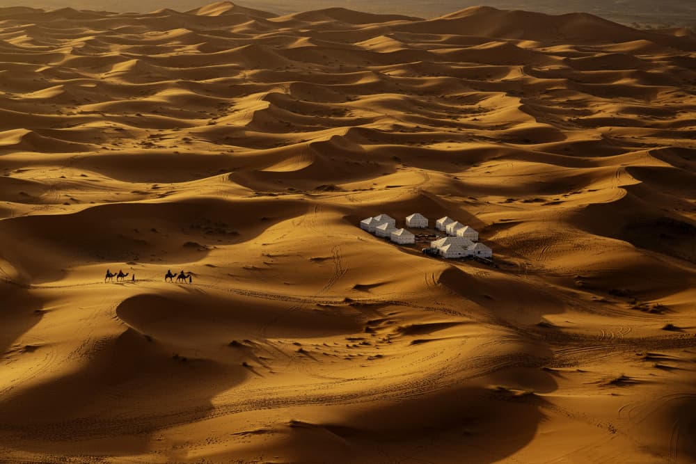 Golden Desert Camp by Gina Buliga — canvas wall art