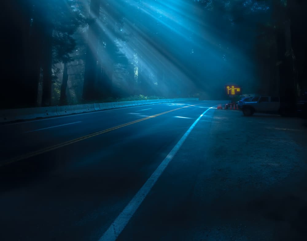 Mystical Forest Road by Judy Tseng — canvas wall art