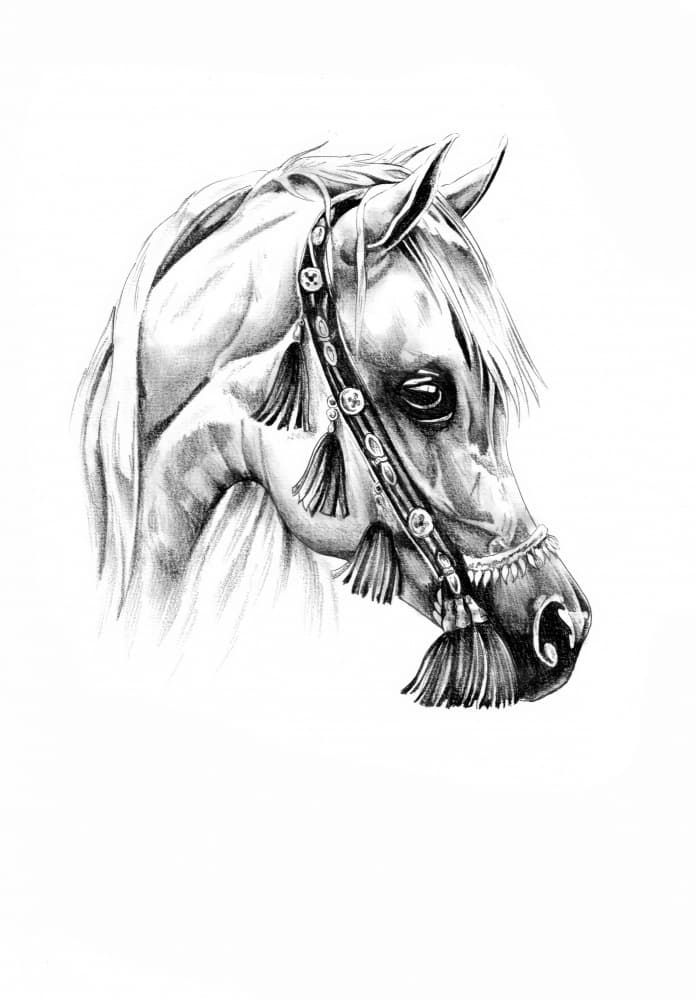 Regal Arabian Horse Portrait by Kulik — canvas wall art