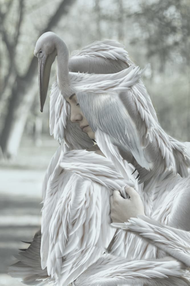 Ethereal Pelican Woman by Ewa Całkosińska-Kajzer — canvas wall art