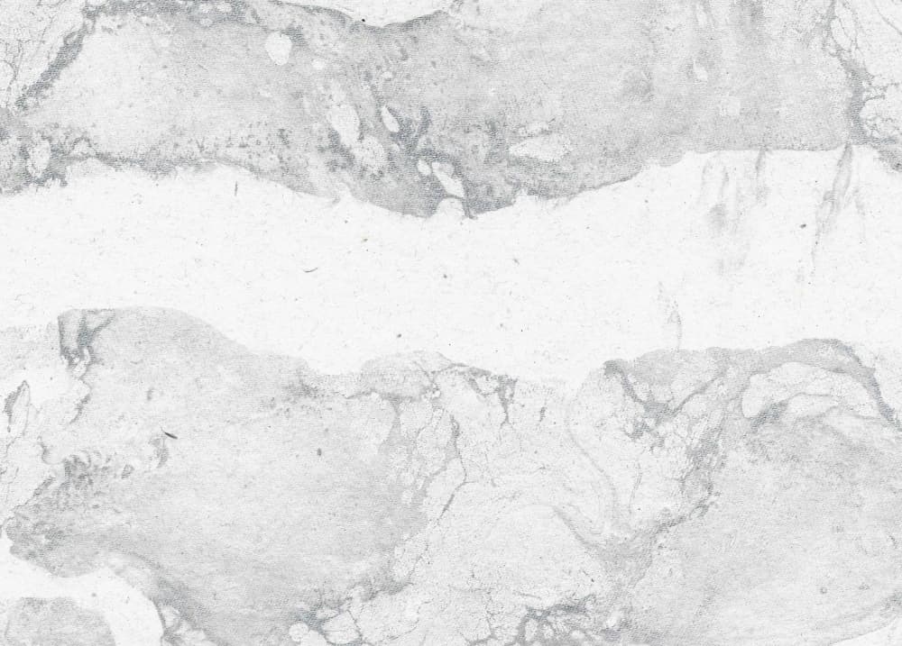 Soft Gray Marble Flow by Santhosh ch — canvas wall art