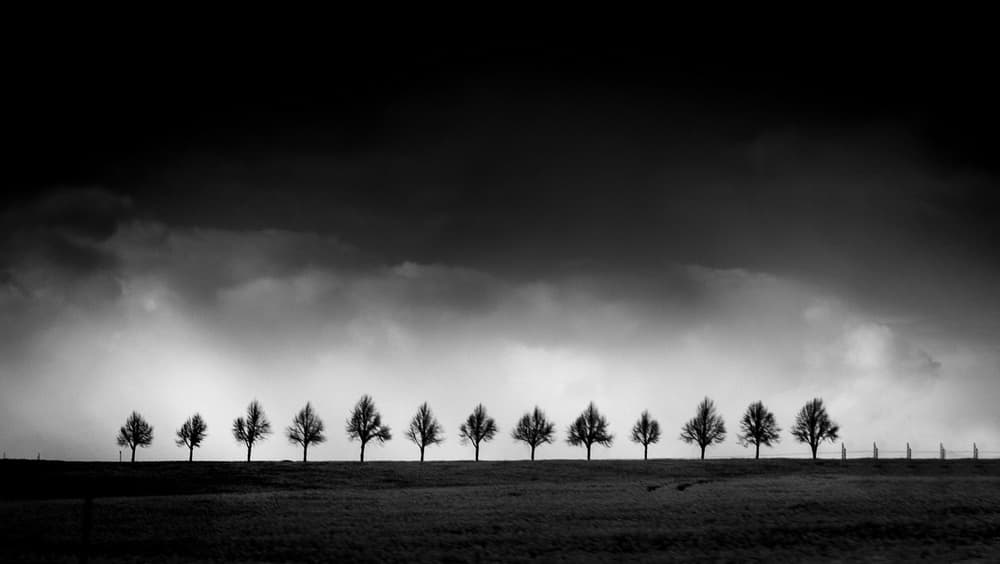 Dramatic Sky Over Trees by Adam Dauria ☂ — canvas wall art