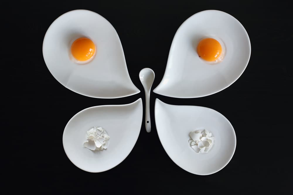 The entomologist's breakfast by Victoria Glinka — canvas wall art