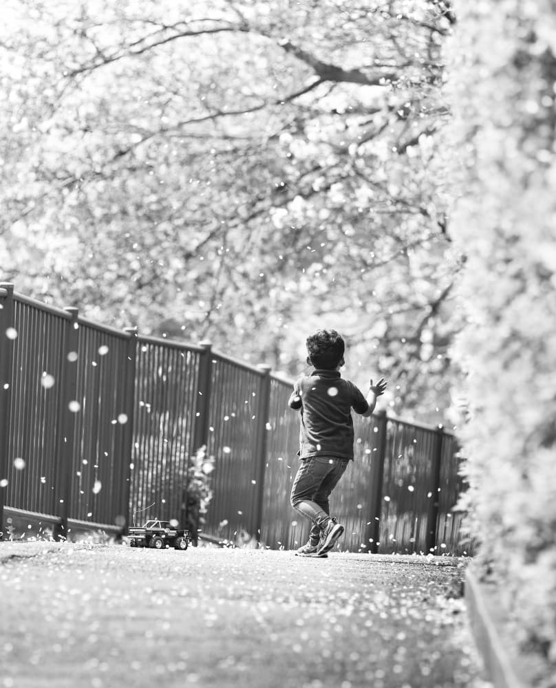 Running Through Petals by sirou.minami — canvas wall art