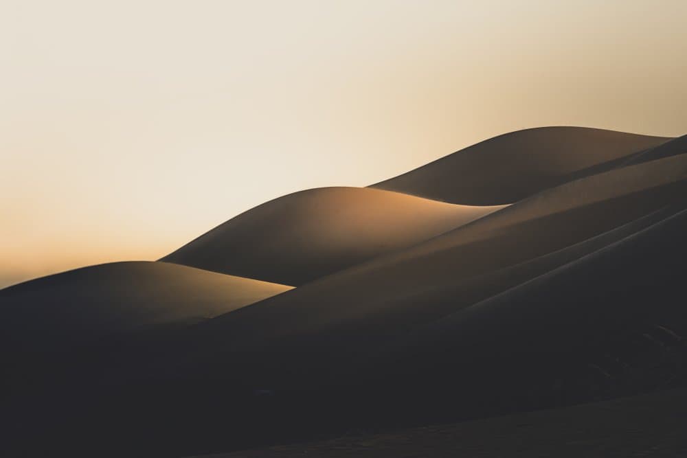 Golden Desert Dunes by Yomn Almonla πΈπ¦ β canvas wall art