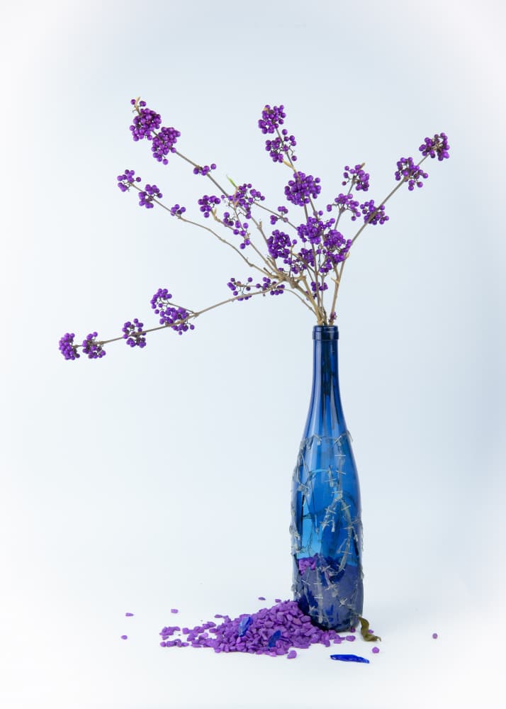 Blue Bottle Purple Berries by FranzStaab — canvas wall art