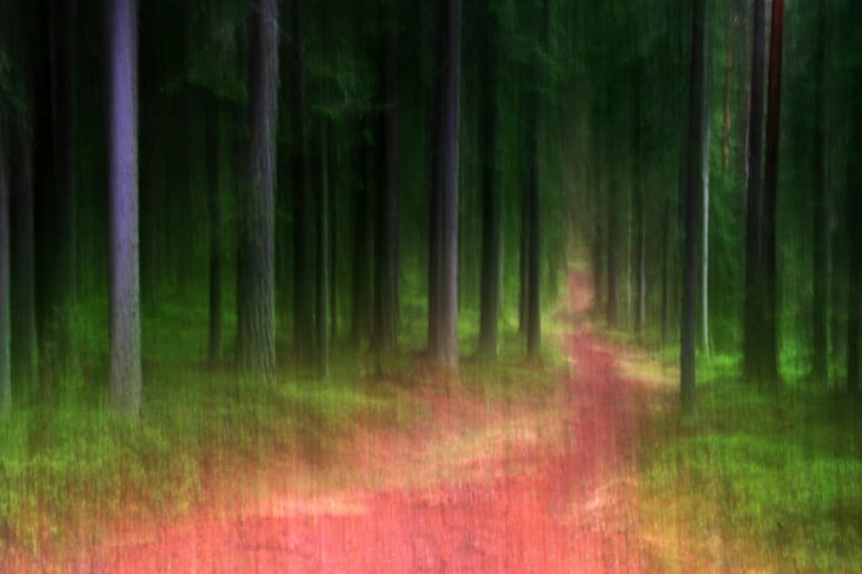 Mysterious Forest Path by Bror Johansson — canvas wall art