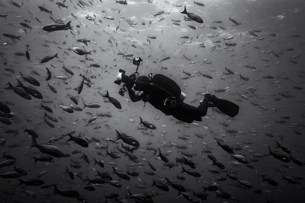 Scuba Diver Fish School by Marcel Rebro — canvas wall art