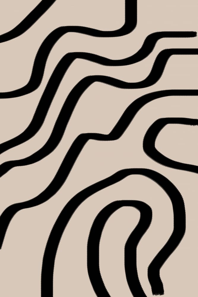 Flowing Lines by THE MIUUS STUDIO — canvas wall art
