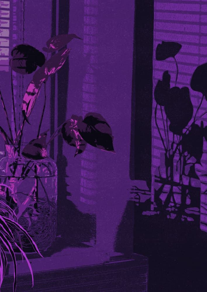 Purple Window Plants by Katariina Kosunen — canvas wall art