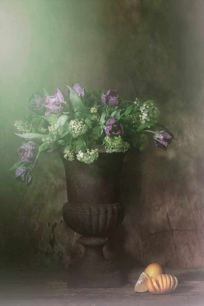 Moody Tulips Still Life by Saskia Dingemans — canvas wall art