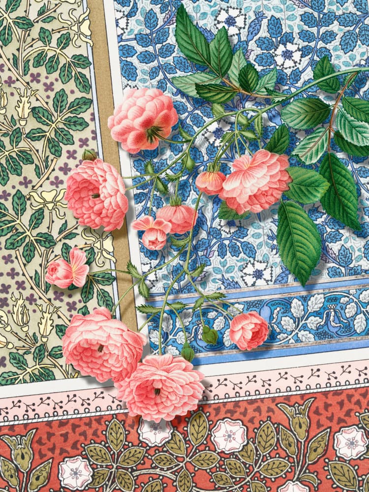 Ornate Pink Roses by Marja van den Hurk — canvas wall art