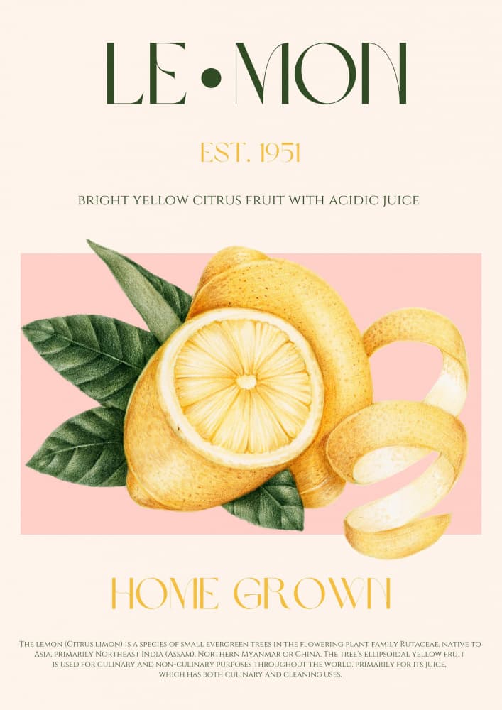 Bright Pink Lemon Zest by Nazma Khokhar — canvas wall art