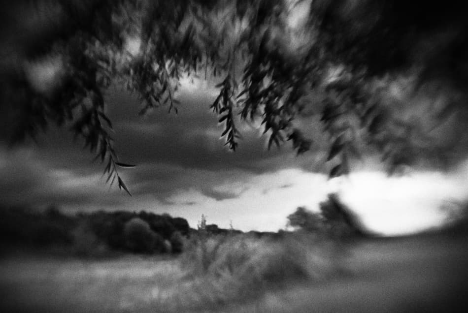 Hanging Branches Cloudy Sky by Codrin Lupei — canvas wall art