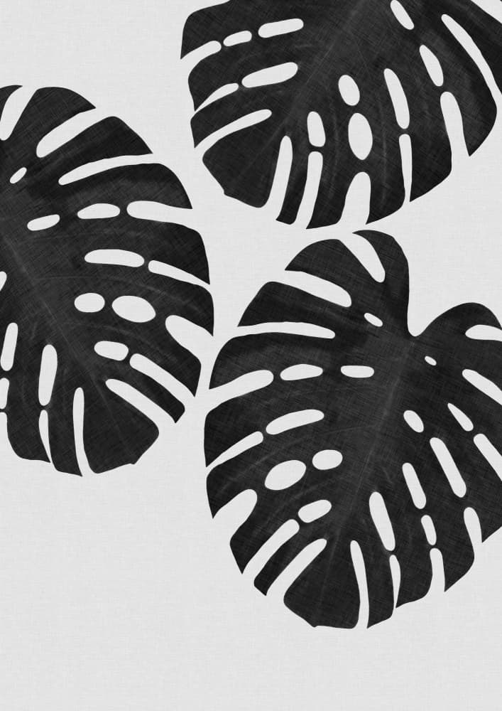 Black Monstera Leaves by Orara Studio — canvas wall art