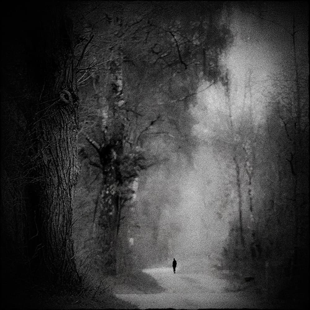 Lone Figure Dark Woods by Renate Wasinger — canvas wall art
