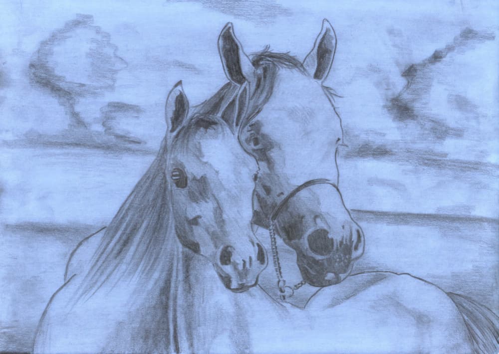 Gentle Horse Bond Sketch by Kulik — canvas wall art