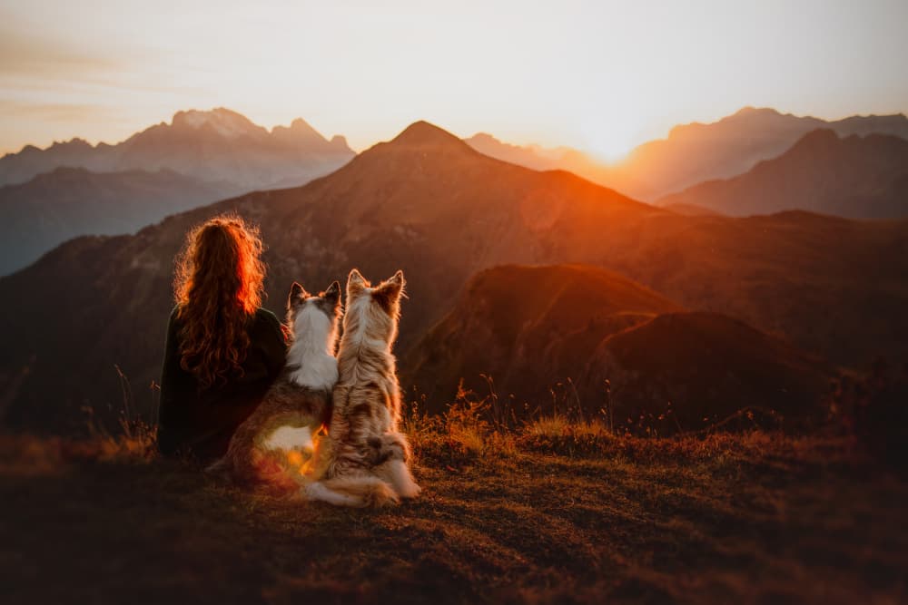 Mountain Sunset Companions by Ve Shandor — canvas wall art