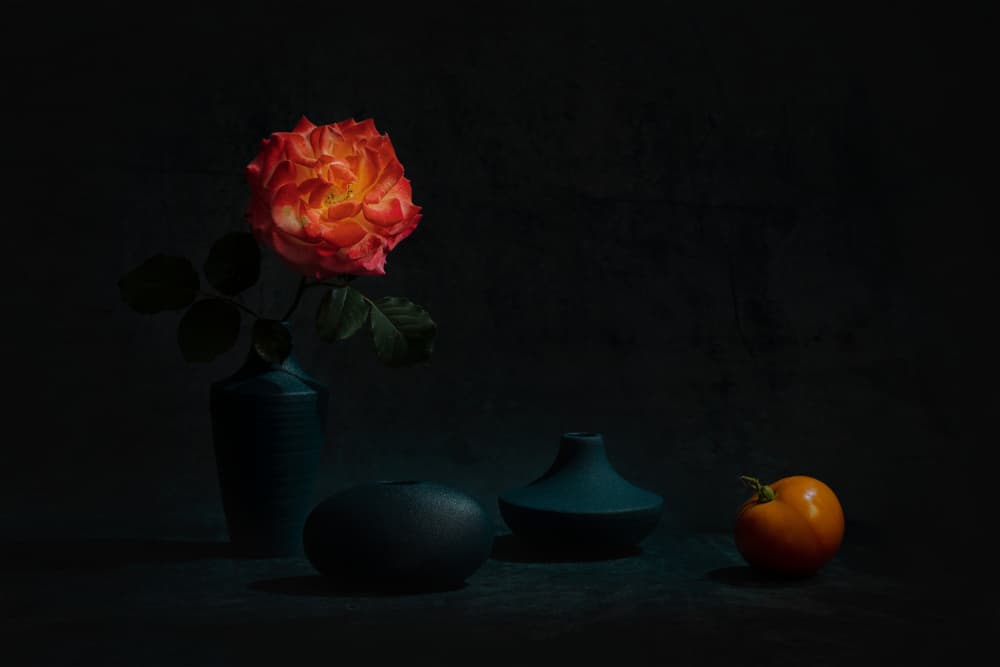 Glowing Orange Rose by Lydia Jacobs — canvas wall art
