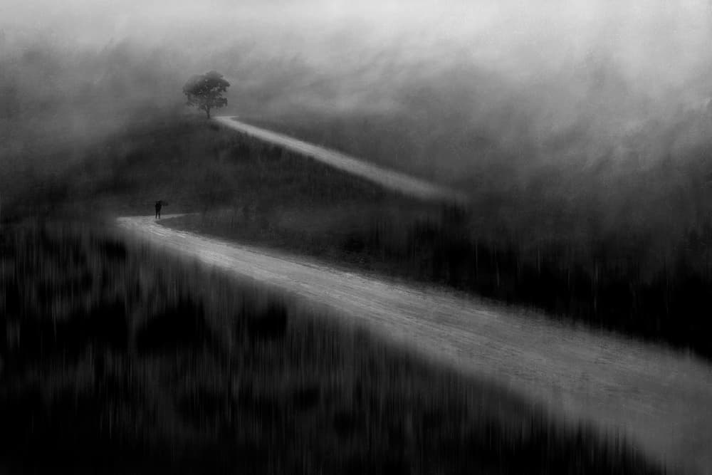 Misty Path Solitude by Ekkachai Khemkum — canvas wall art