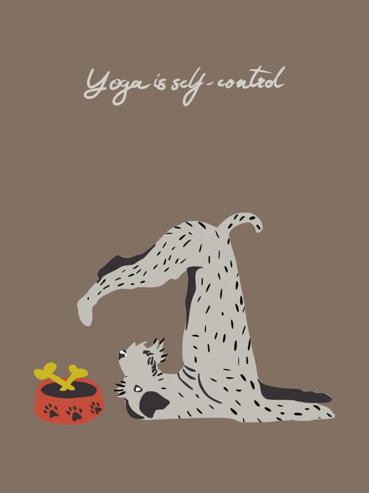 Self Control Dog Yoga by Annick — canvas wall art