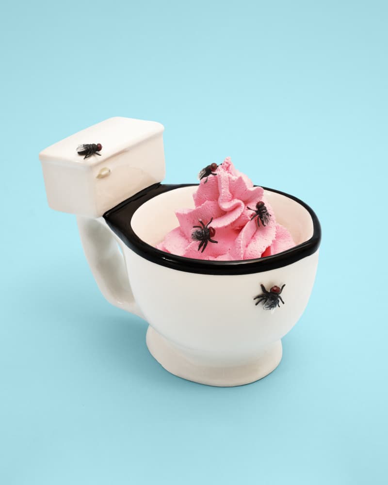 Toilet Dessert with Flies by Julia Ramiro — canvas wall art
