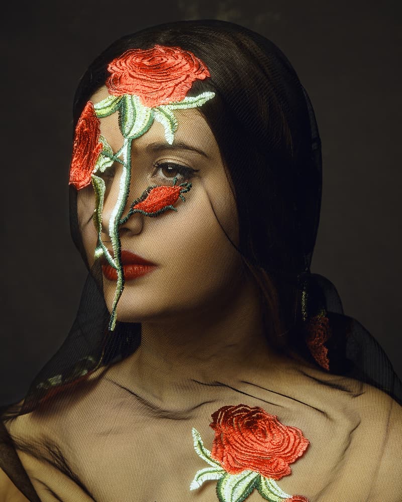 Elegant Rose Veil by Mehdi Mokhtari — canvas wall art