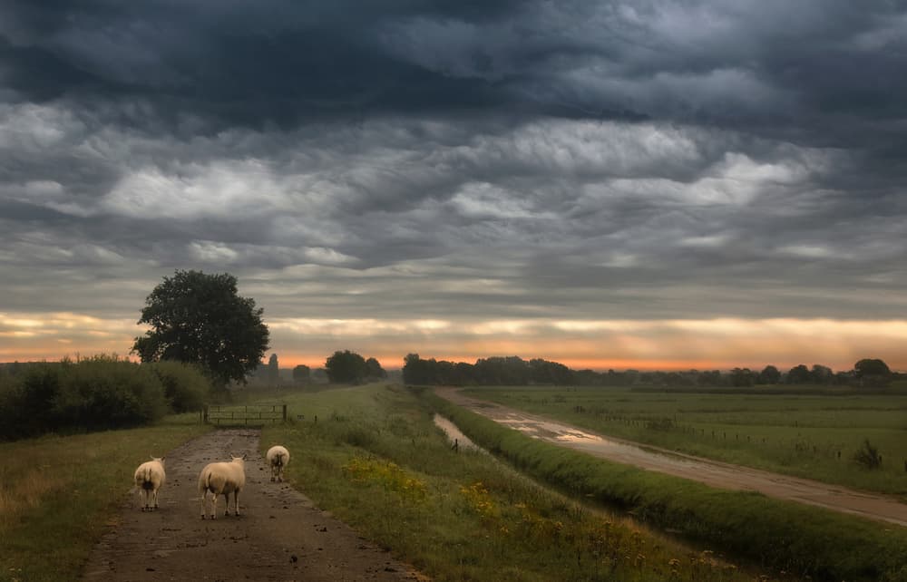 Waving clouds by Nel Talen — canvas wall art