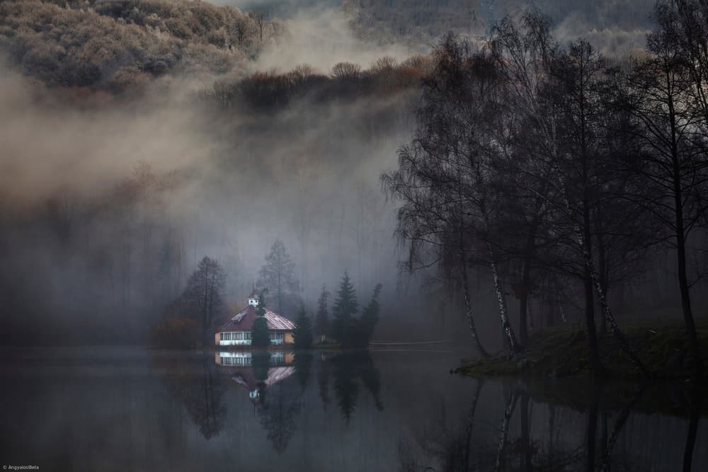 Mist by Angyalosi Beáta — canvas wall art