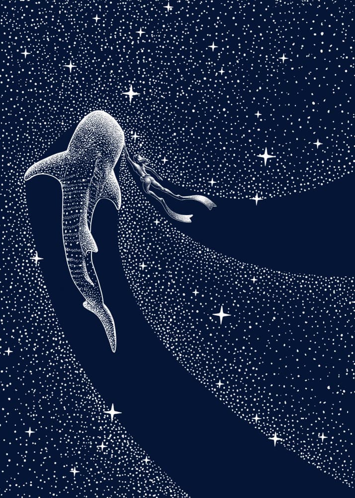Whale Shark Cosmic Journey by Alirıza ÇAKIR — canvas wall art